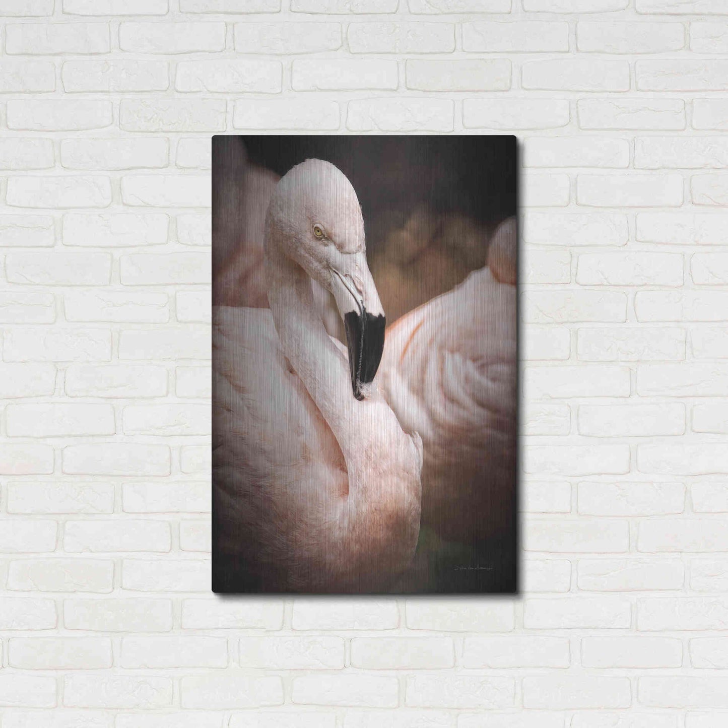 Luxe Metal Art 'Chilean Flamingo II' by Debra Van Swearingen, Metal Wall Art,24x36