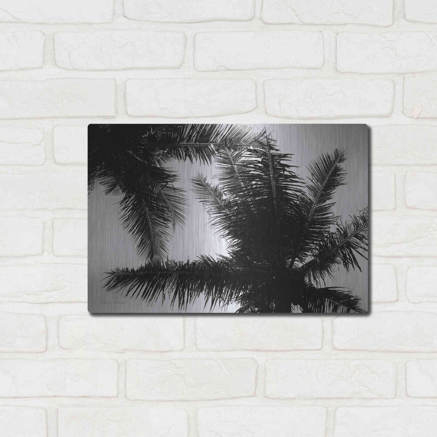 Luxe Metal Art 'Palm Tree Looking Up I' by Debra Van Swearingen, Metal Wall Art,16x12