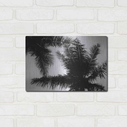 Luxe Metal Art 'Palm Tree Looking Up I' by Debra Van Swearingen, Metal Wall Art,16x12