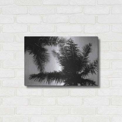 Luxe Metal Art 'Palm Tree Looking Up I' by Debra Van Swearingen, Metal Wall Art,24x16