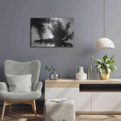 Luxe Metal Art 'Palm Tree Looking Up I' by Debra Van Swearingen, Metal Wall Art,24x16