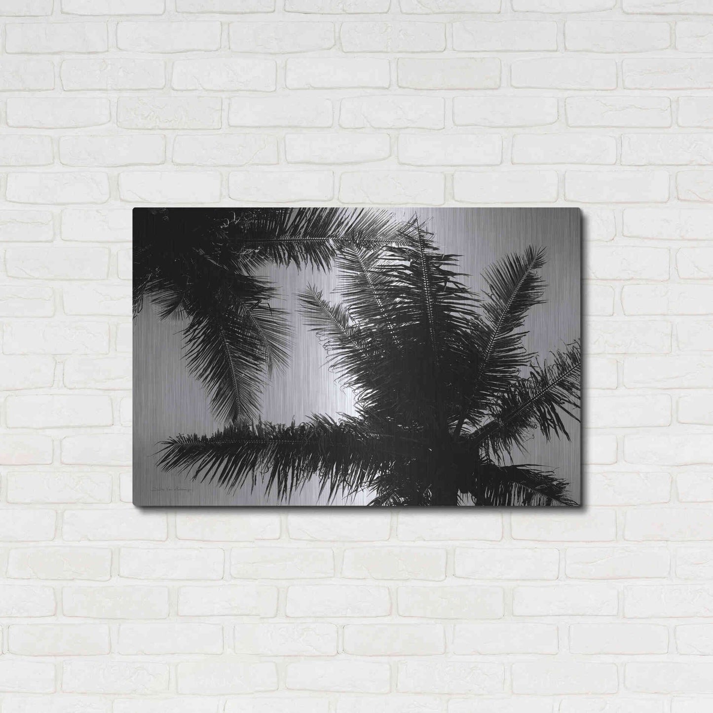 Luxe Metal Art 'Palm Tree Looking Up I' by Debra Van Swearingen, Metal Wall Art,36x24