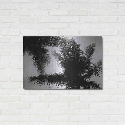 Luxe Metal Art 'Palm Tree Looking Up I' by Debra Van Swearingen, Metal Wall Art,36x24