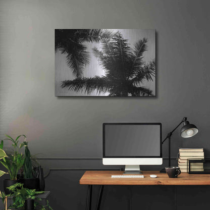 Luxe Metal Art 'Palm Tree Looking Up I' by Debra Van Swearingen, Metal Wall Art,36x24