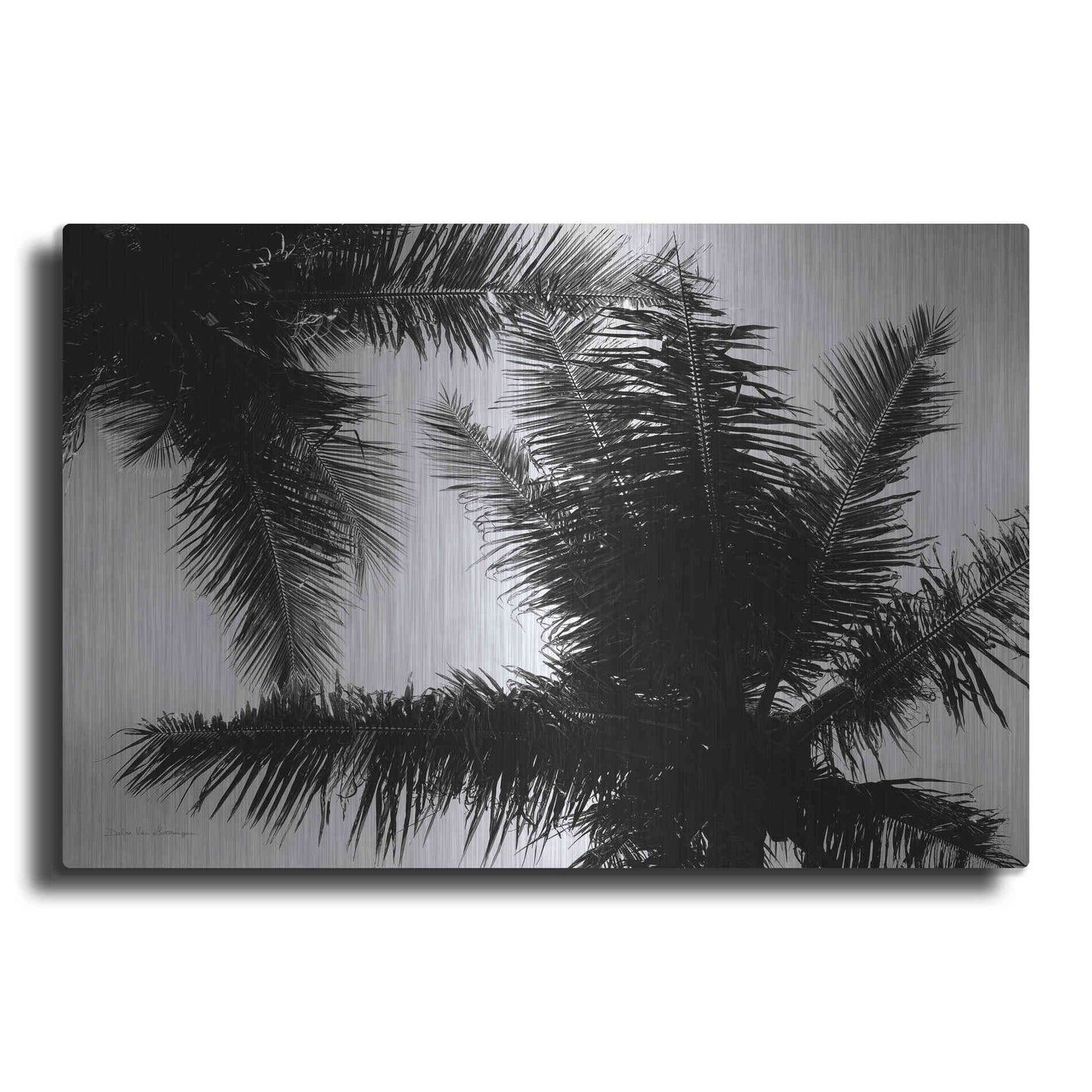 Luxe Metal Art 'Palm Tree Looking Up I' by Debra Van Swearingen, Metal Wall Art