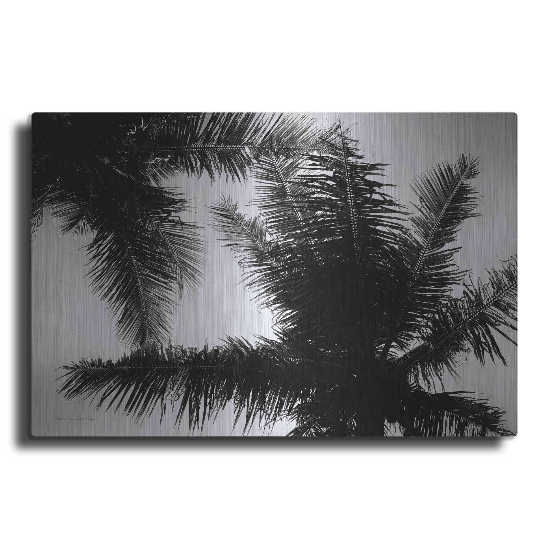 Luxe Metal Art 'Palm Tree Looking Up I' by Debra Van Swearingen, Metal Wall Art