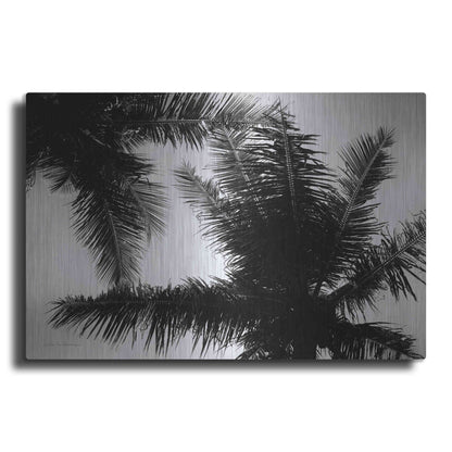 Luxe Metal Art 'Palm Tree Looking Up I' by Debra Van Swearingen, Metal Wall Art