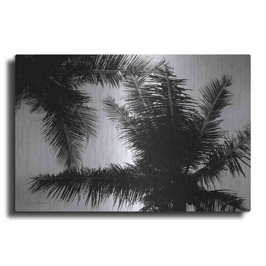 Luxe Metal Art 'Palm Tree Looking Up I' by Debra Van Swearingen, Metal Wall Art