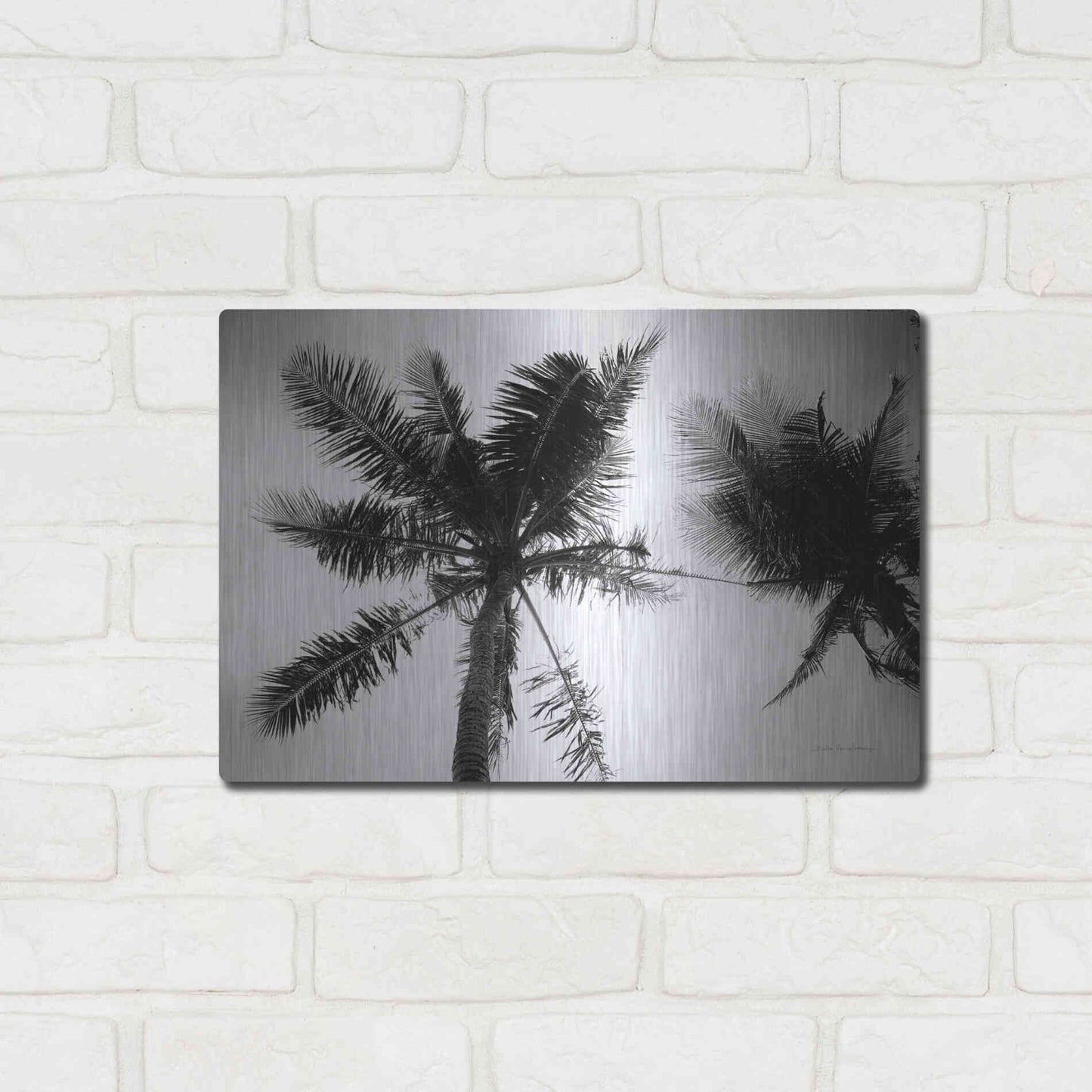 Luxe Metal Art 'Palm Tree Looking Up II' by Debra Van Swearingen, Metal Wall Art,16x12