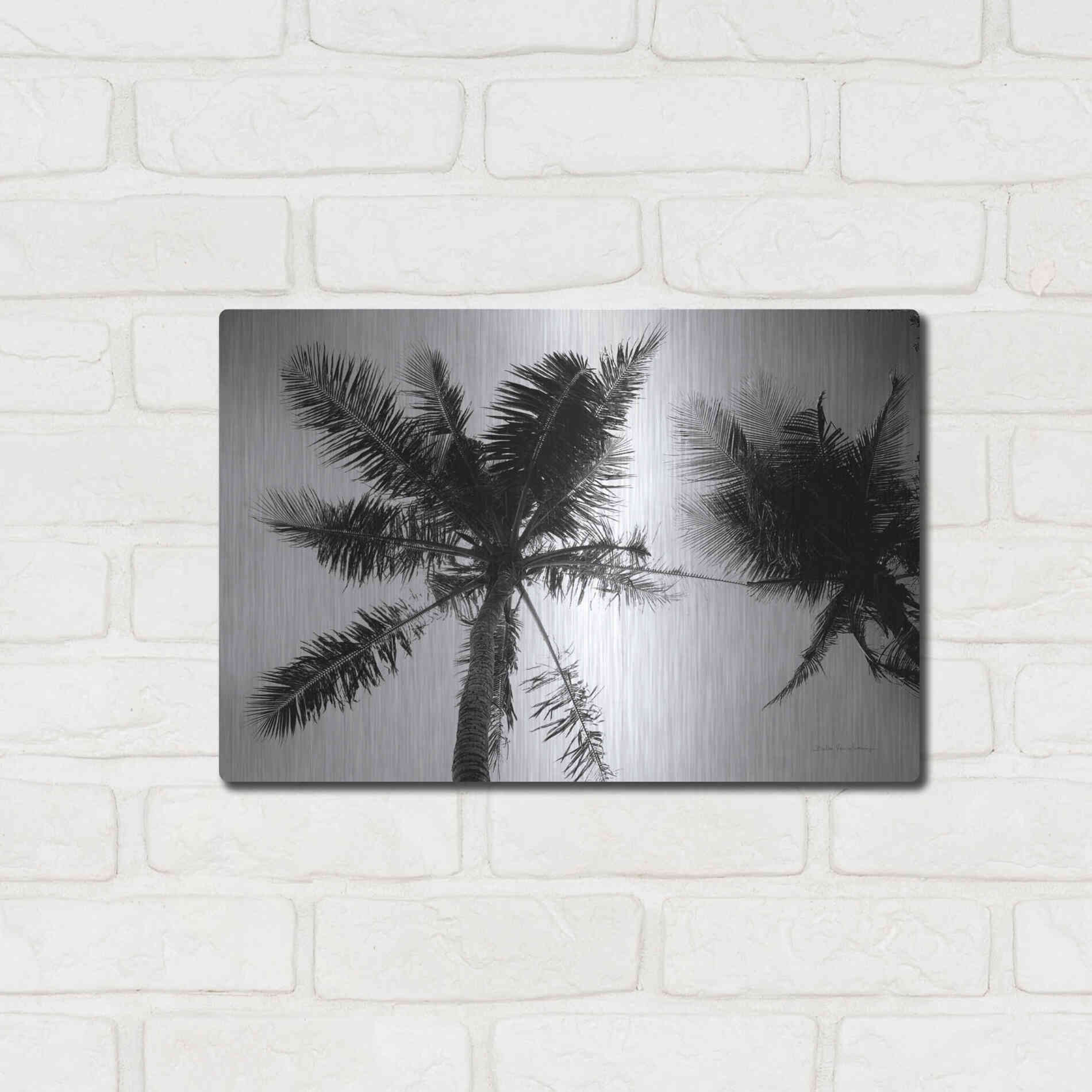 Luxe Metal Art 'Palm Tree Looking Up II' by Debra Van Swearingen, Metal Wall Art,16x12