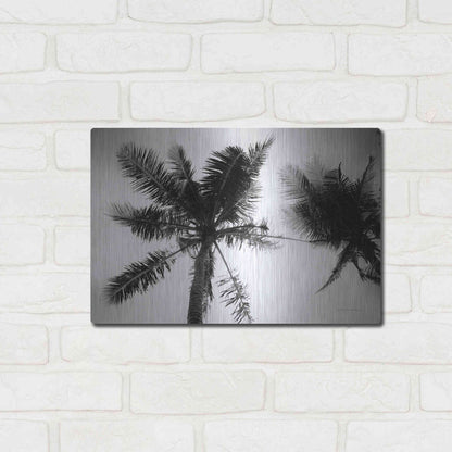 Luxe Metal Art 'Palm Tree Looking Up II' by Debra Van Swearingen, Metal Wall Art,16x12