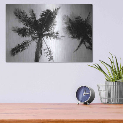 Luxe Metal Art 'Palm Tree Looking Up II' by Debra Van Swearingen, Metal Wall Art,16x12