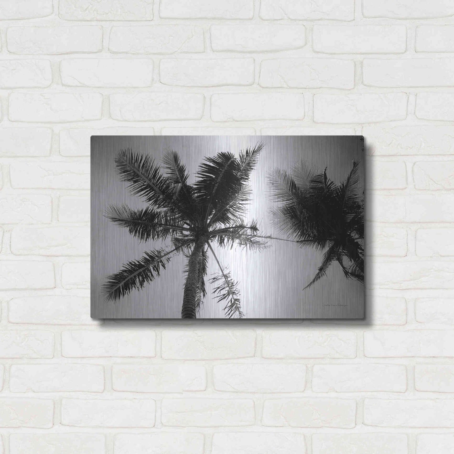 Luxe Metal Art 'Palm Tree Looking Up II' by Debra Van Swearingen, Metal Wall Art,24x16