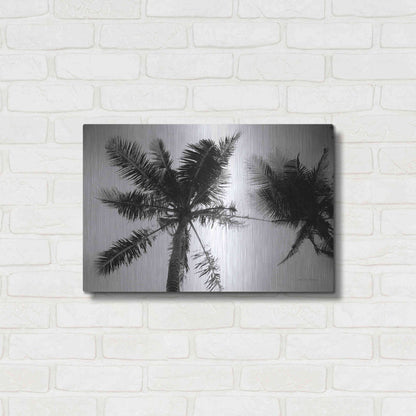 Luxe Metal Art 'Palm Tree Looking Up II' by Debra Van Swearingen, Metal Wall Art,24x16