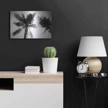 Luxe Metal Art 'Palm Tree Looking Up II' by Debra Van Swearingen, Metal Wall Art,24x16