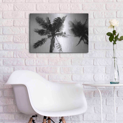 Luxe Metal Art 'Palm Tree Looking Up II' by Debra Van Swearingen, Metal Wall Art,24x16