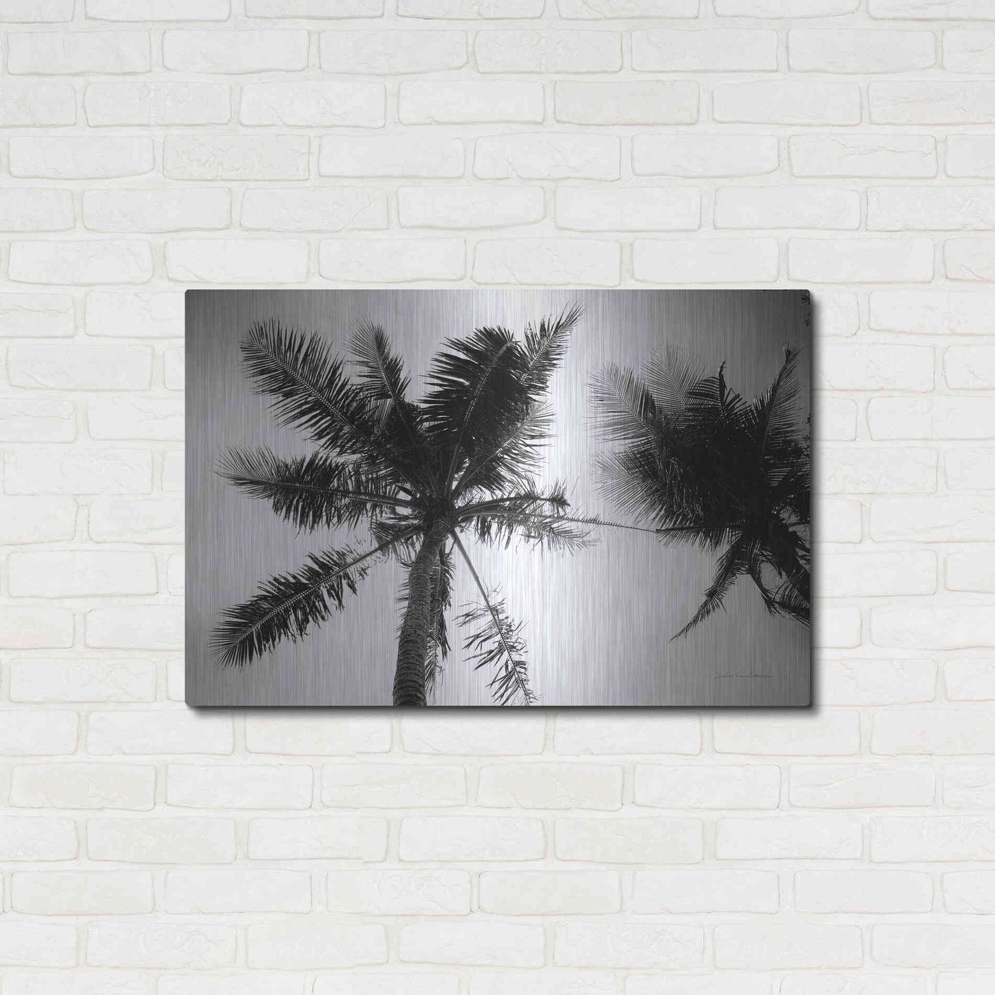Luxe Metal Art 'Palm Tree Looking Up II' by Debra Van Swearingen, Metal Wall Art,36x24