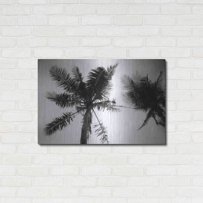 Luxe Metal Art 'Palm Tree Looking Up II' by Debra Van Swearingen, Metal Wall Art,36x24