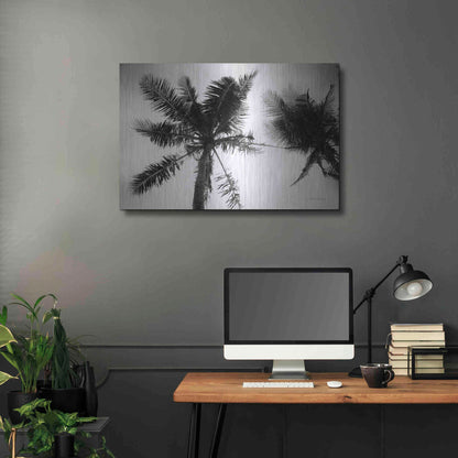 Luxe Metal Art 'Palm Tree Looking Up II' by Debra Van Swearingen, Metal Wall Art,36x24