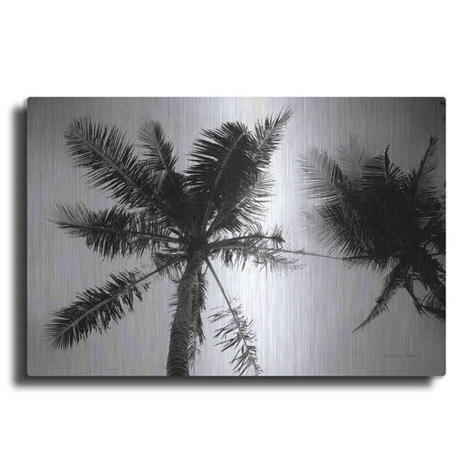Luxe Metal Art 'Palm Tree Looking Up II' by Debra Van Swearingen, Metal Wall Art
