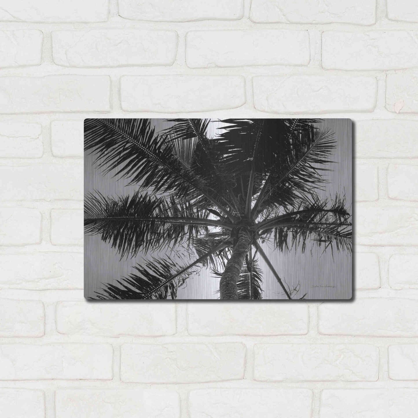 Luxe Metal Art 'Palm Tree Looking Up III' by Debra Van Swearingen, Metal Wall Art,16x12