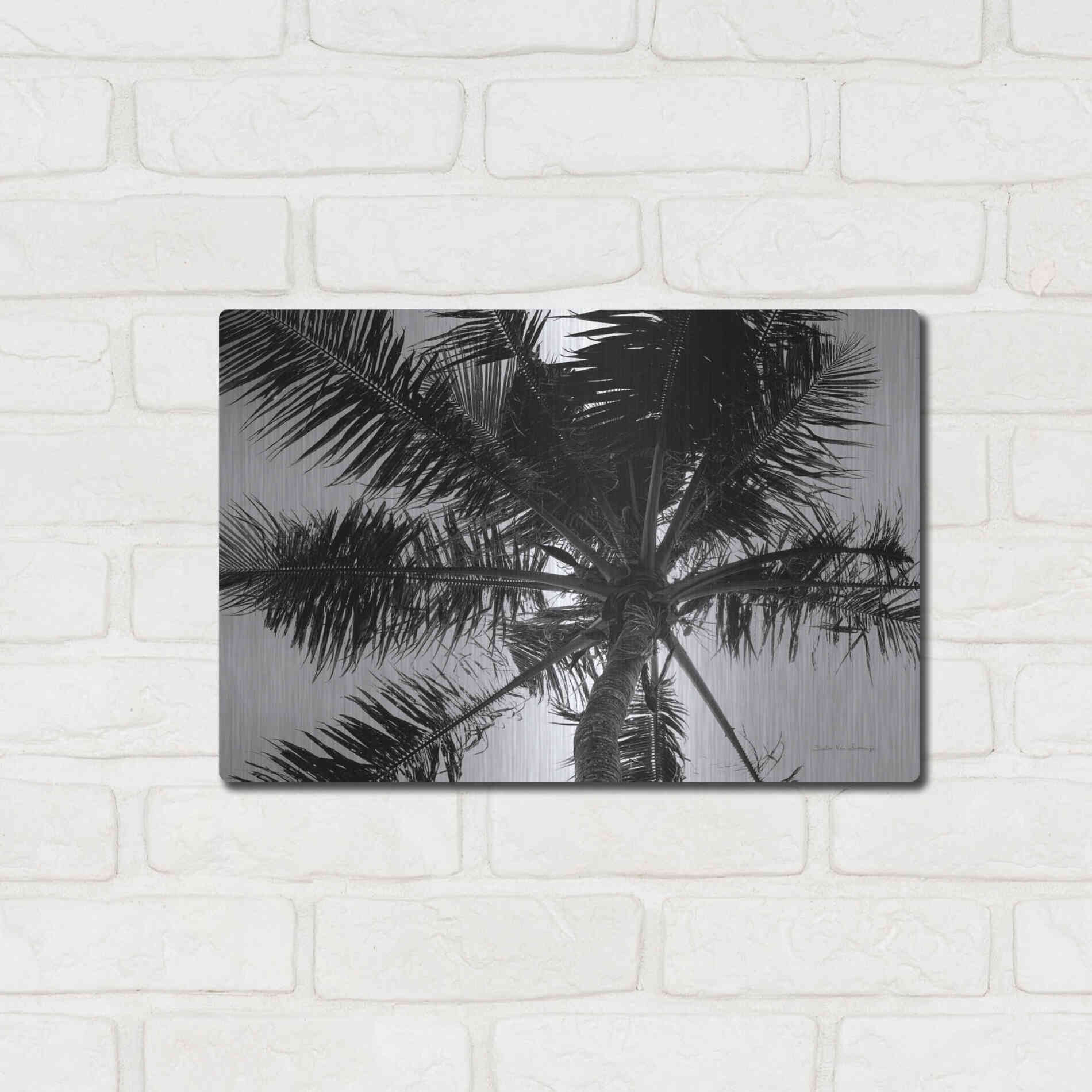 Luxe Metal Art 'Palm Tree Looking Up III' by Debra Van Swearingen, Metal Wall Art,16x12