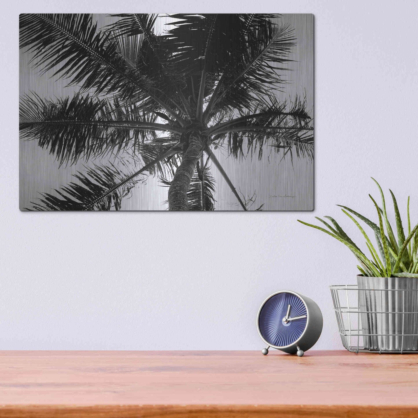 Luxe Metal Art 'Palm Tree Looking Up III' by Debra Van Swearingen, Metal Wall Art,16x12