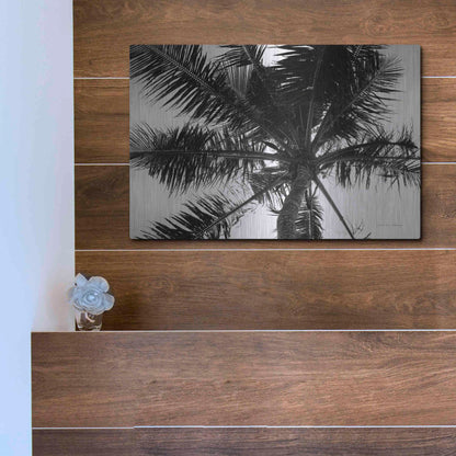 Luxe Metal Art 'Palm Tree Looking Up III' by Debra Van Swearingen, Metal Wall Art,16x12