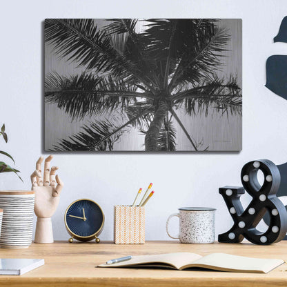 Luxe Metal Art 'Palm Tree Looking Up III' by Debra Van Swearingen, Metal Wall Art,16x12