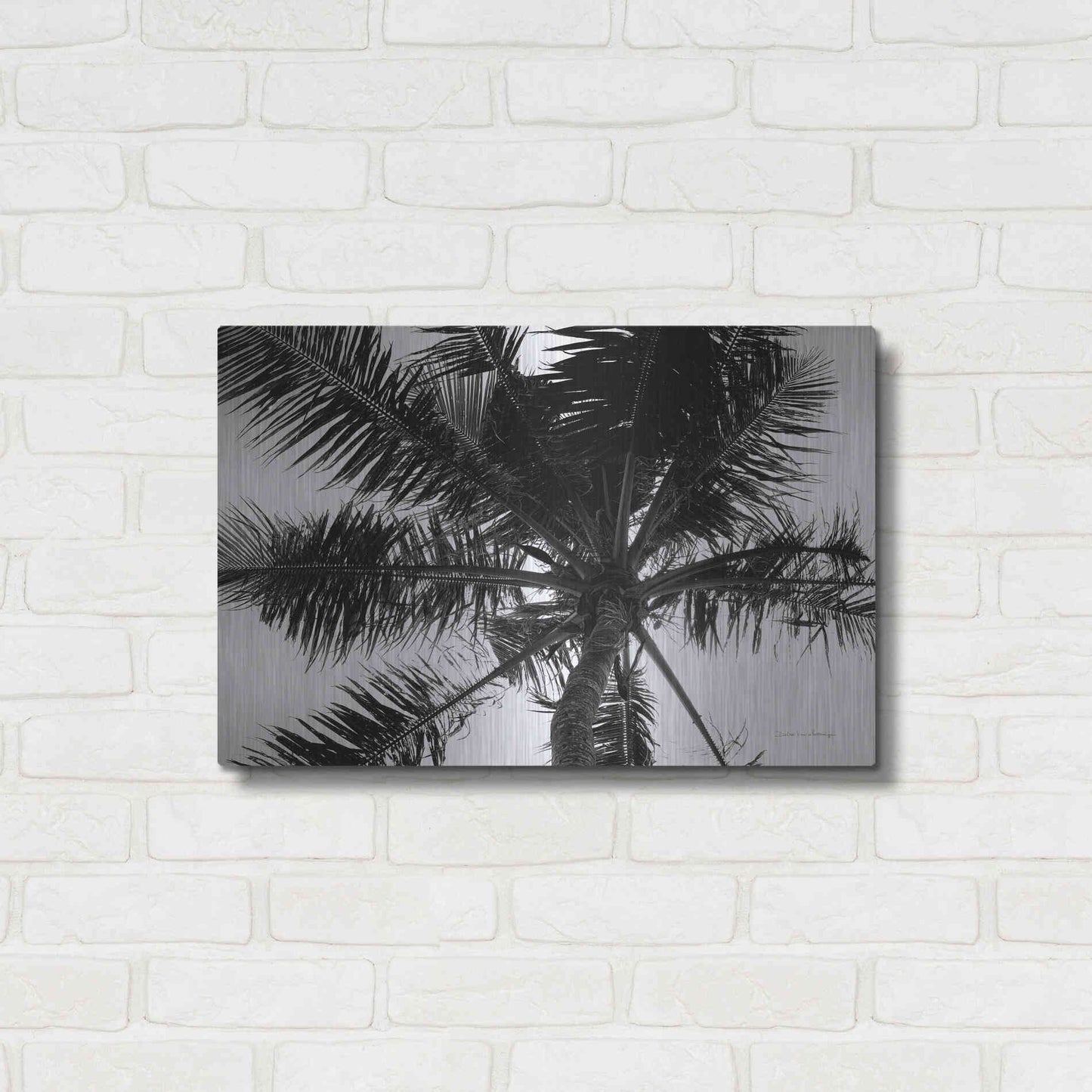 Luxe Metal Art 'Palm Tree Looking Up III' by Debra Van Swearingen, Metal Wall Art,24x16