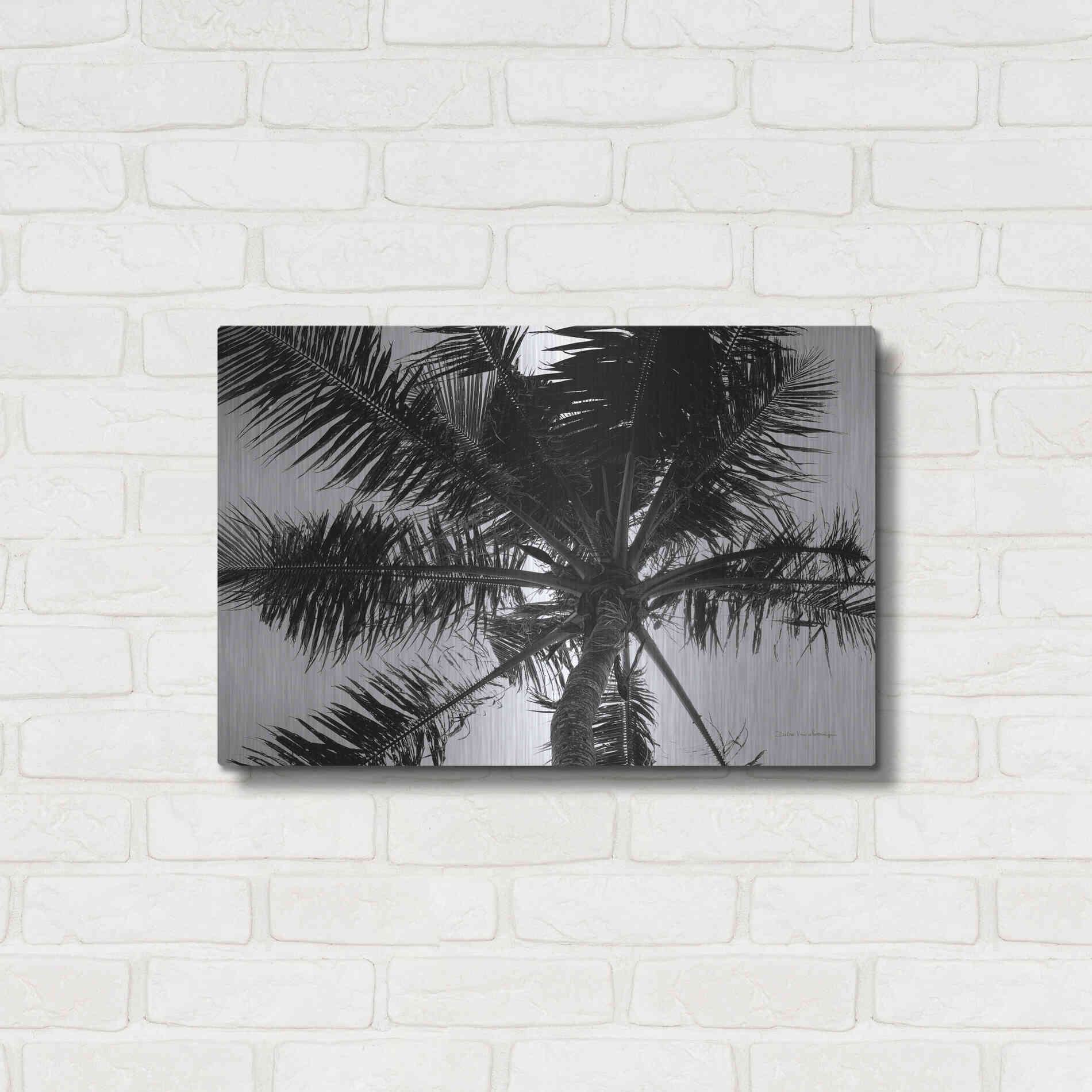 Luxe Metal Art 'Palm Tree Looking Up III' by Debra Van Swearingen, Metal Wall Art,24x16