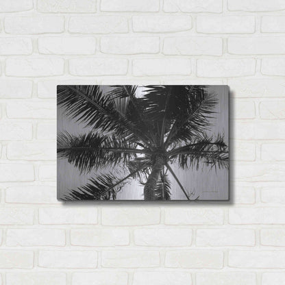 Luxe Metal Art 'Palm Tree Looking Up III' by Debra Van Swearingen, Metal Wall Art,24x16