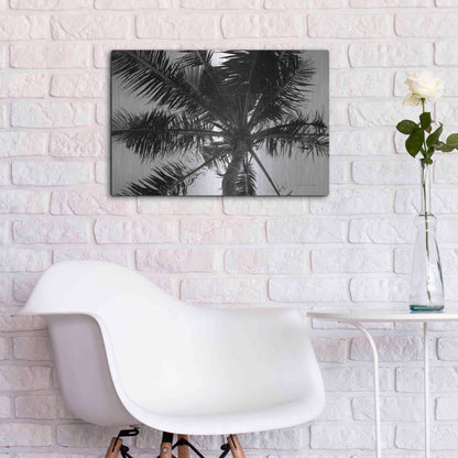 Luxe Metal Art 'Palm Tree Looking Up III' by Debra Van Swearingen, Metal Wall Art,24x16