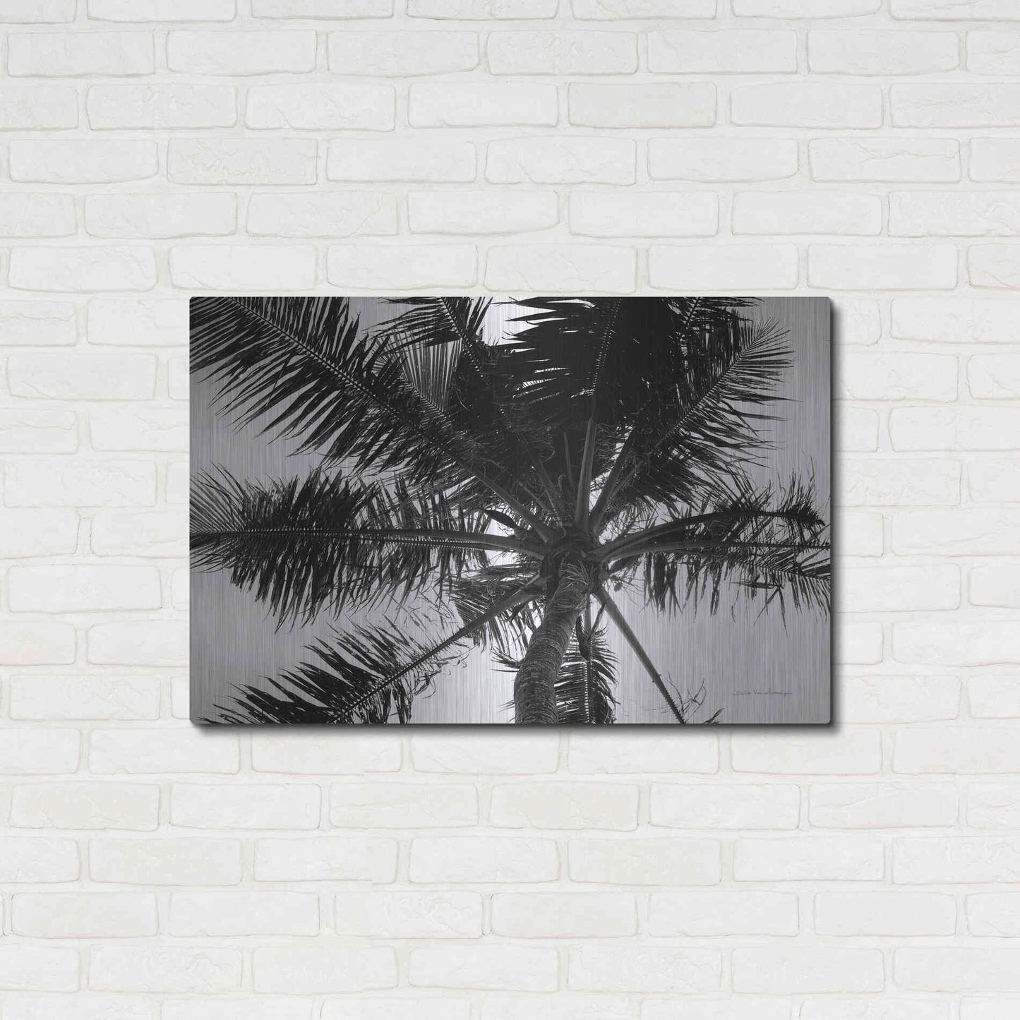 Luxe Metal Art 'Palm Tree Looking Up III' by Debra Van Swearingen, Metal Wall Art,36x24