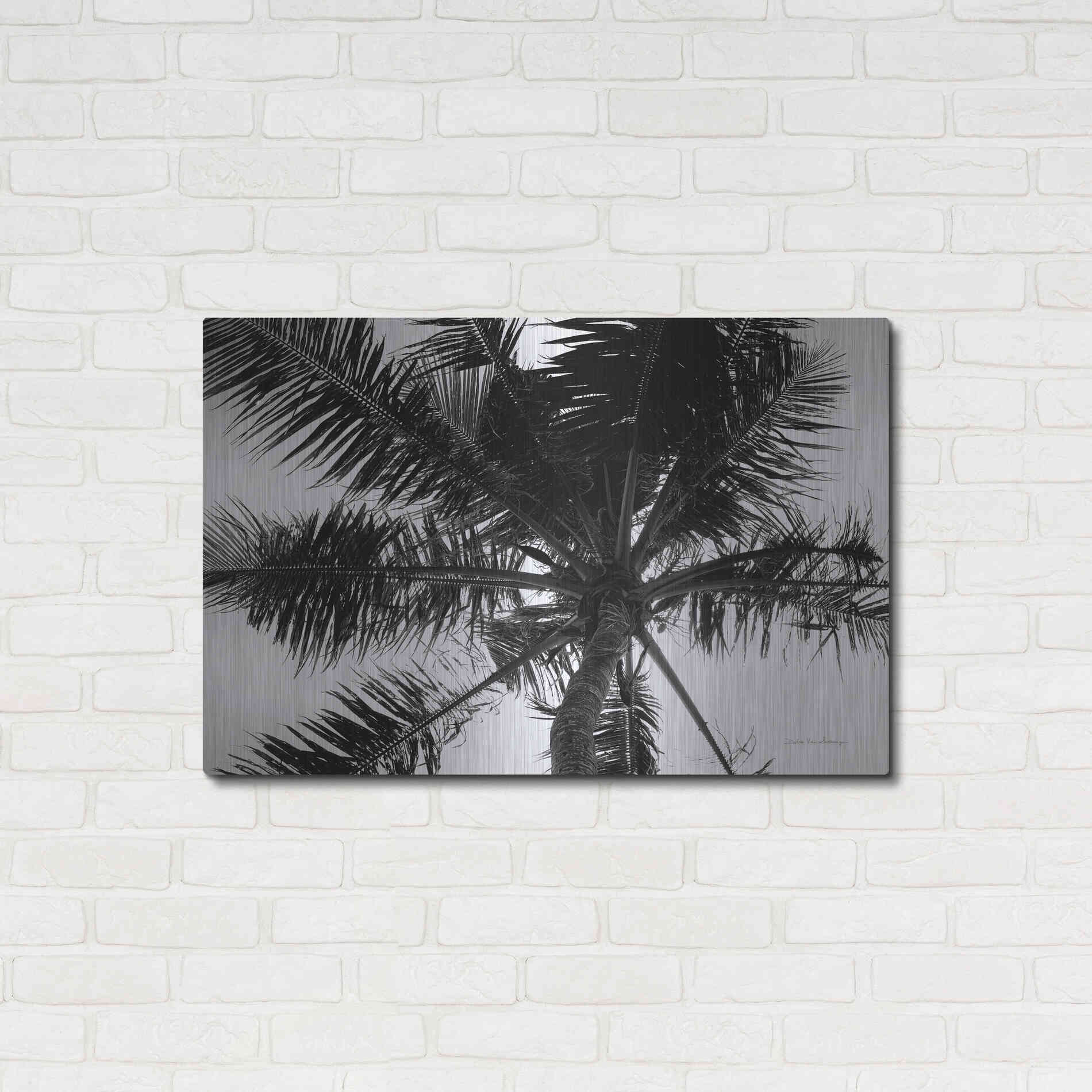 Luxe Metal Art 'Palm Tree Looking Up III' by Debra Van Swearingen, Metal Wall Art,36x24