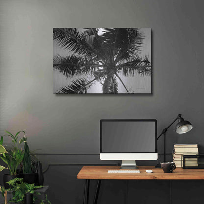 Luxe Metal Art 'Palm Tree Looking Up III' by Debra Van Swearingen, Metal Wall Art,36x24