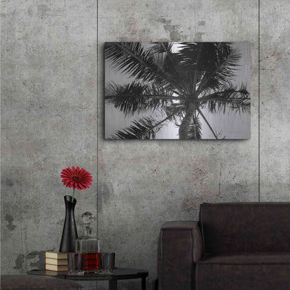 Luxe Metal Art 'Palm Tree Looking Up III' by Debra Van Swearingen, Metal Wall Art,36x24