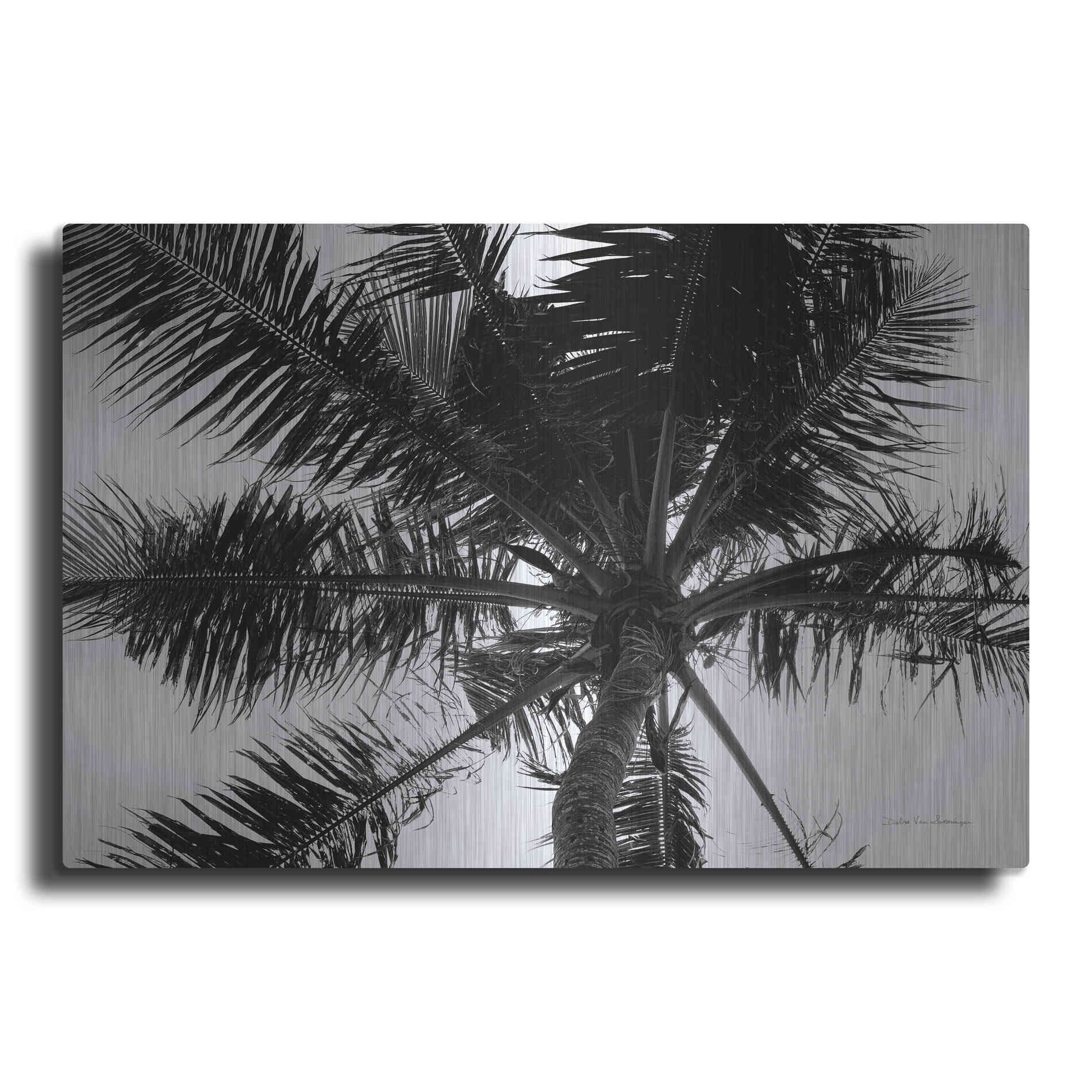 Luxe Metal Art 'Palm Tree Looking Up III' by Debra Van Swearingen, Metal Wall Art