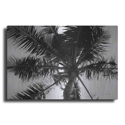 Luxe Metal Art 'Palm Tree Looking Up III' by Debra Van Swearingen, Metal Wall Art