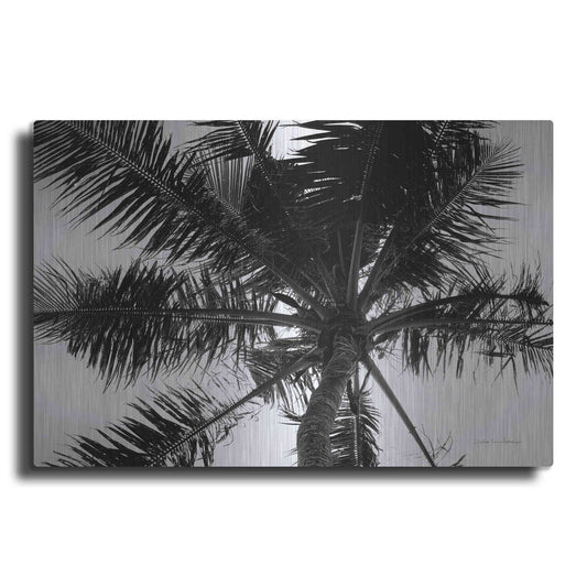Luxe Metal Art 'Palm Tree Looking Up III' by Debra Van Swearingen, Metal Wall Art