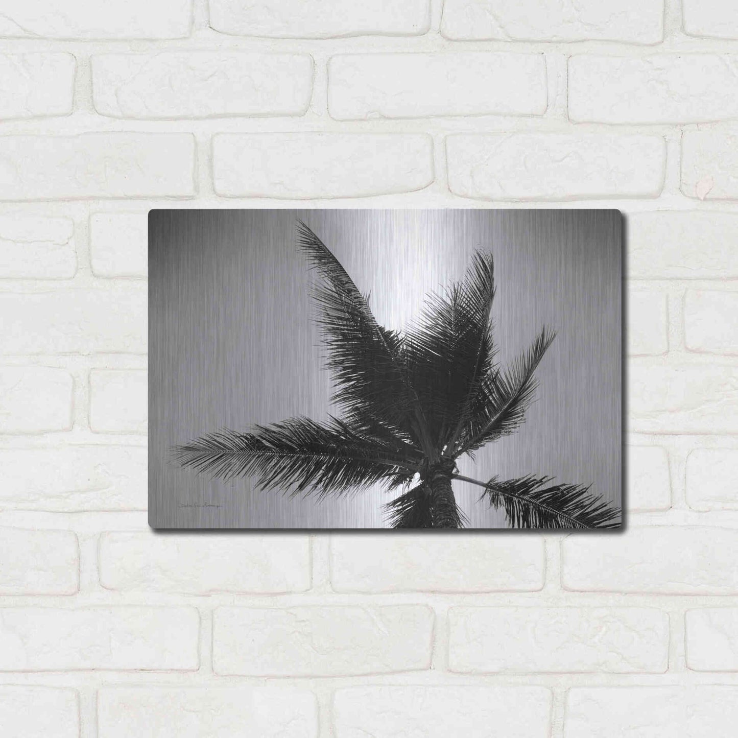 Luxe Metal Art 'Palm Tree Looking Up IV' by Debra Van Swearingen, Metal Wall Art,16x12