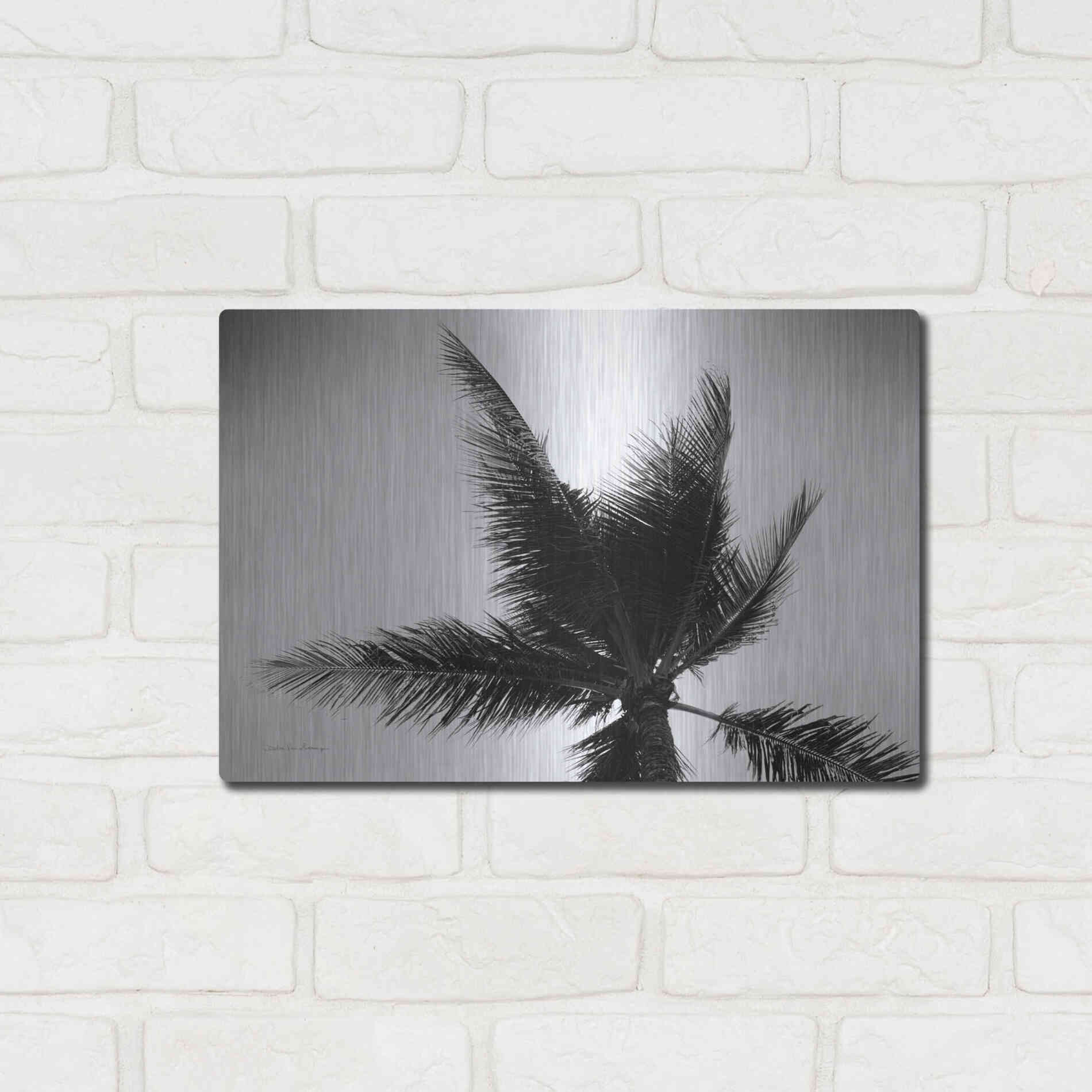 Luxe Metal Art 'Palm Tree Looking Up IV' by Debra Van Swearingen, Metal Wall Art,16x12