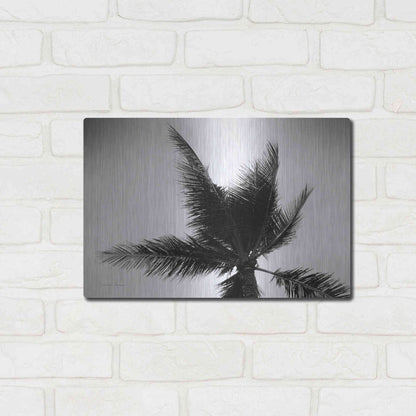 Luxe Metal Art 'Palm Tree Looking Up IV' by Debra Van Swearingen, Metal Wall Art,16x12