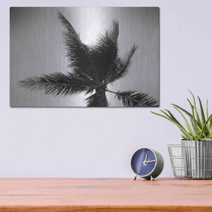 Luxe Metal Art 'Palm Tree Looking Up IV' by Debra Van Swearingen, Metal Wall Art,16x12