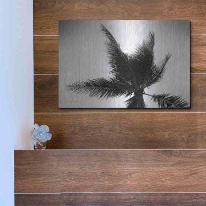 Luxe Metal Art 'Palm Tree Looking Up IV' by Debra Van Swearingen, Metal Wall Art,16x12