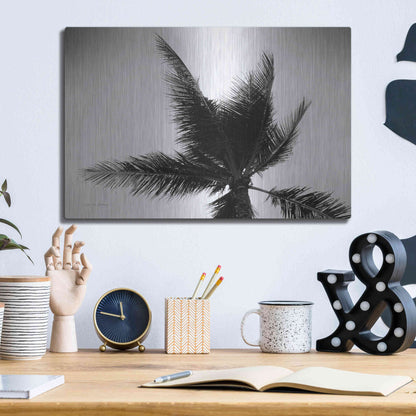 Luxe Metal Art 'Palm Tree Looking Up IV' by Debra Van Swearingen, Metal Wall Art,16x12