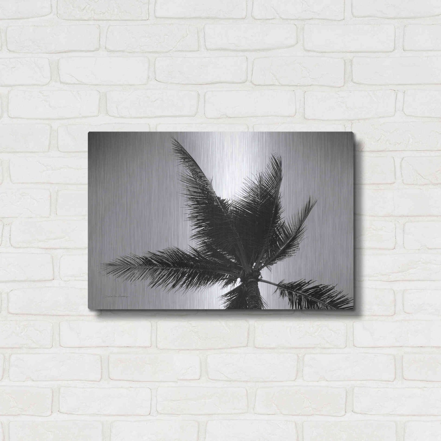 Luxe Metal Art 'Palm Tree Looking Up IV' by Debra Van Swearingen, Metal Wall Art,24x16