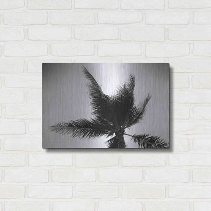 Luxe Metal Art 'Palm Tree Looking Up IV' by Debra Van Swearingen, Metal Wall Art,24x16