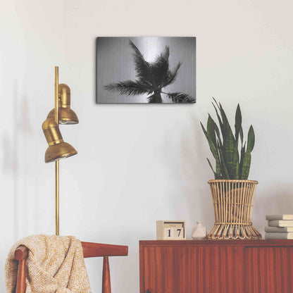 Luxe Metal Art 'Palm Tree Looking Up IV' by Debra Van Swearingen, Metal Wall Art,24x16