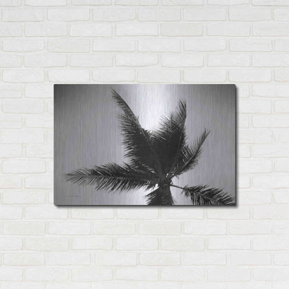 Luxe Metal Art 'Palm Tree Looking Up IV' by Debra Van Swearingen, Metal Wall Art,36x24